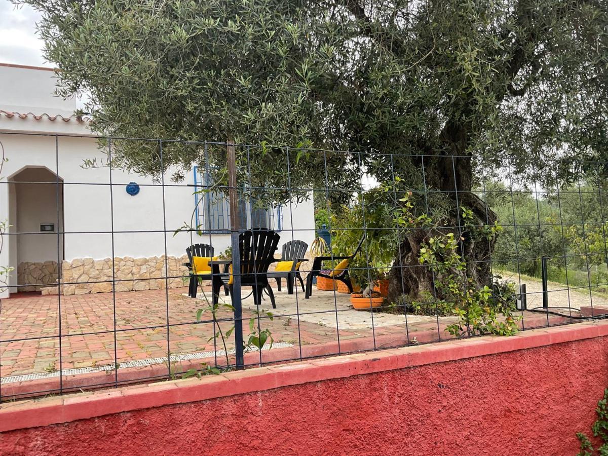הוילה קרדדו Domo Mea מראה חיצוני תמונה